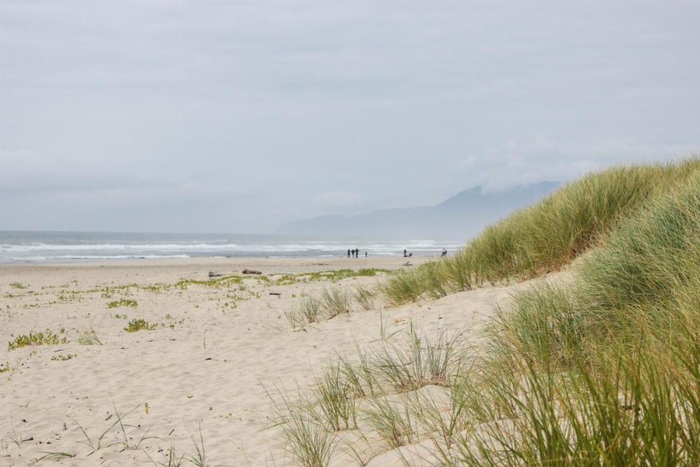 Pacific Breeze Hideaway Image 18