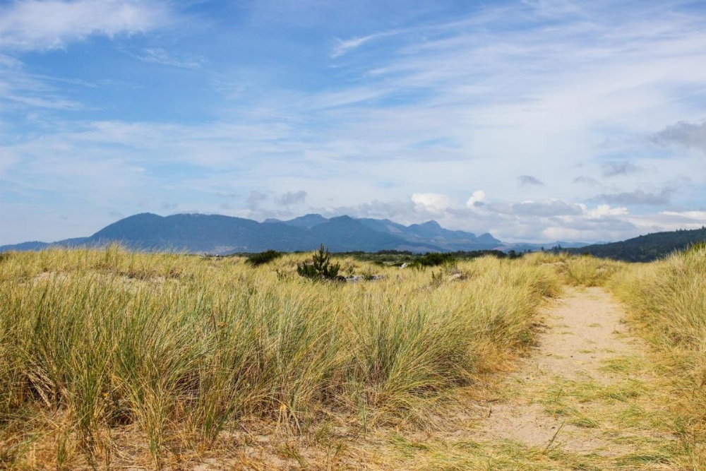 Pacific Breeze Hideaway Image 21