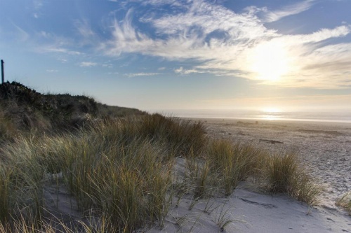 Pacific Breeze Hideaway image 9